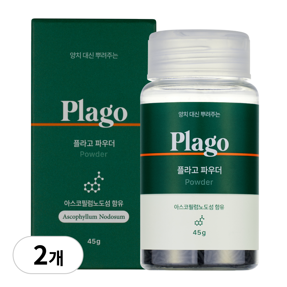 플라고 덴탈 파우더 45g